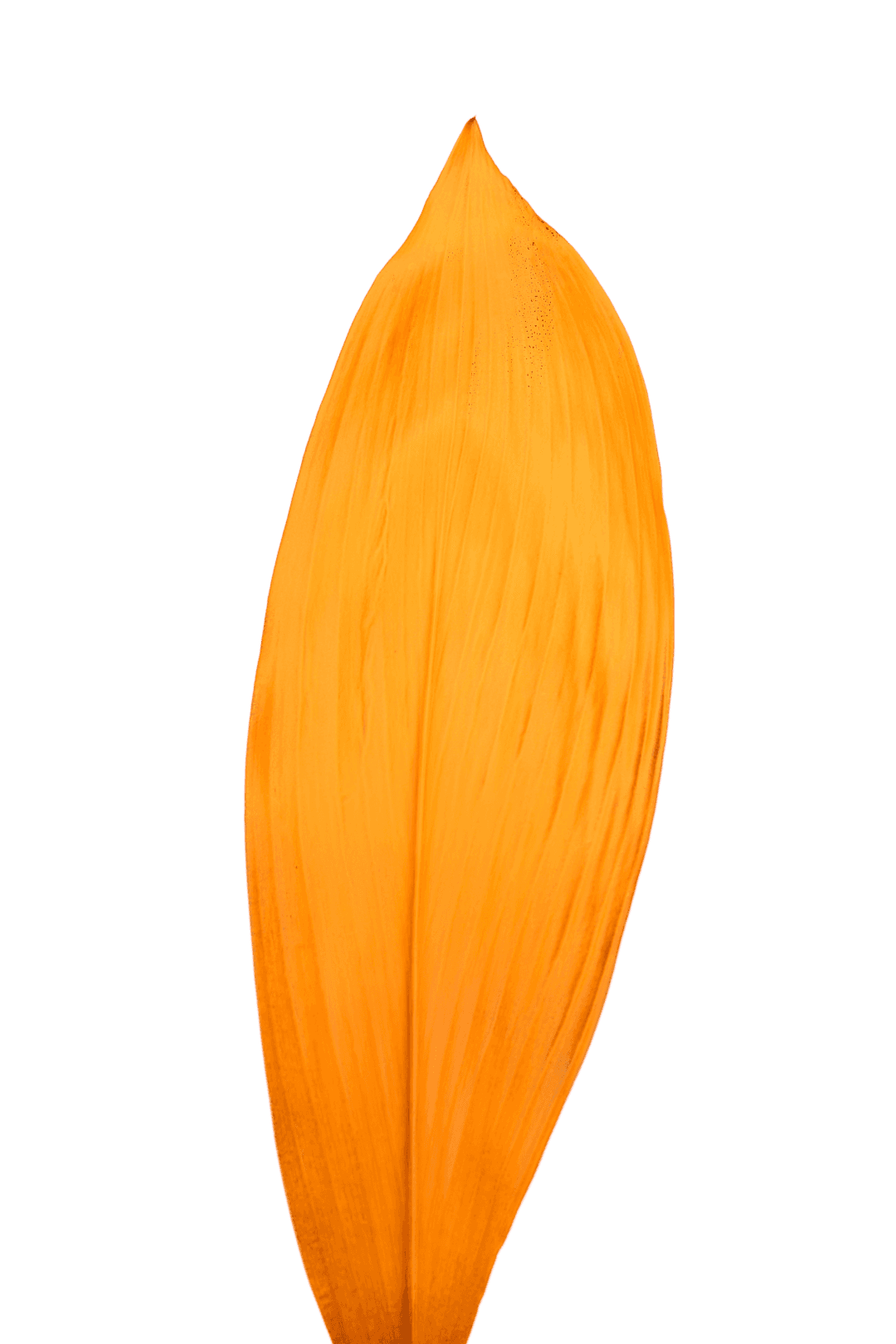 Orange leaf decoration